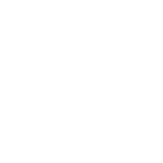 logo_dhollandia_vect_weiss